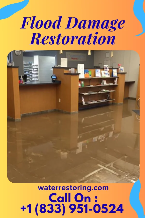 Flood Damage Restoration in Kingsford Heights, IN
