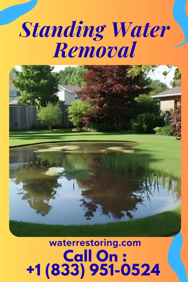 Standing Water Removal in Kingsford Heights, IN